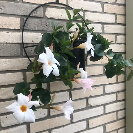 Pieprz I Wanilia Z Widokiem Na 3 Parking Taras Wifi - Wanilia Dom wakacyjny *