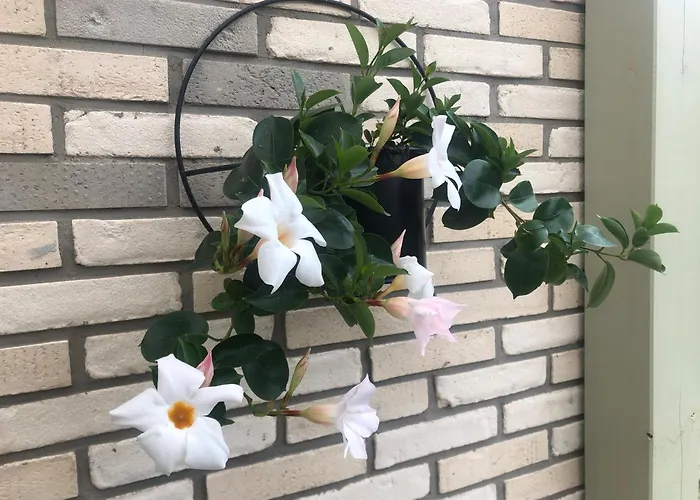 Pieprz I Wanilia Z Widokiem Na 3 Parking Taras Wifi - Wanilia Hébergement de vacances *