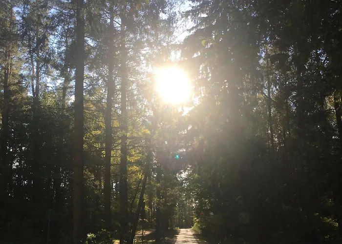 Pieprz I Wanilia Z Widokiem Na 3 Parking Taras Wifi - Wanilia Prázdninový dům Kopalino