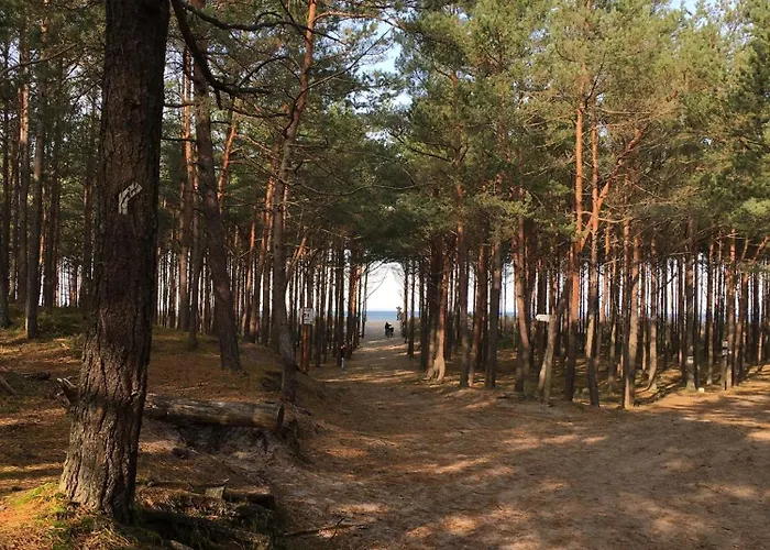 Дом отдыха Pieprz I Wanilia Z Widokiem Na 3 Parking Taras Wifi - Wanilia Копалино